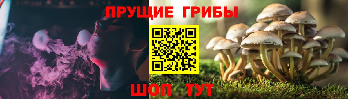 Галлюциногенные грибы мицелий Назрань